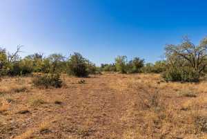 3 Timber Trail (11)