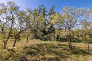 3 Timber Trail (13)