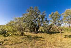 3 Timber Trail (14)