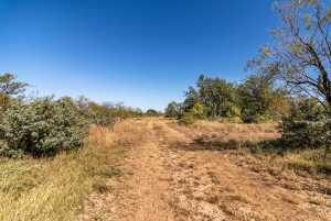 3 Timber Trail (15)