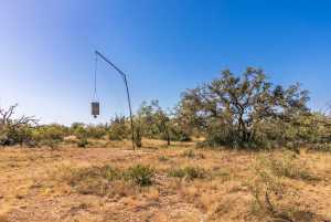 3 Timber Trail (16)