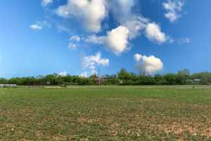 5425 Grape Creek Rd (58)