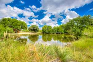 206 Willow Pond St (37)