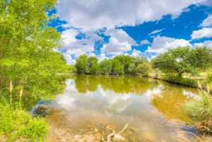 206 Willow Pond St (38)