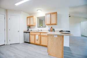 1301 Elmo Lane (12)