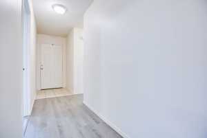 1301 Elmo Lane (7)