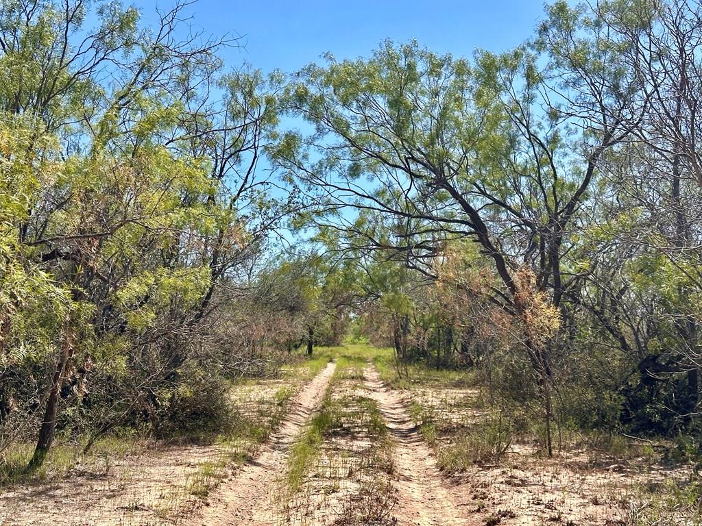 11980 W Grape Creek Rd
