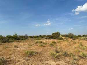 11980 W Grape Creek Rd (21)