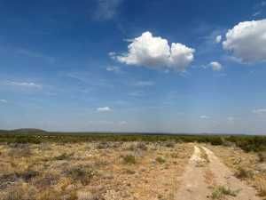 11980 W Grape Creek Rd (23)