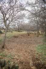 11980 W Grape Creek Rd (32)
