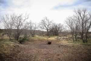 11980 W Grape Creek Rd (4)