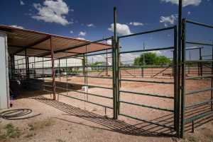 7229 Sun Lane (17)