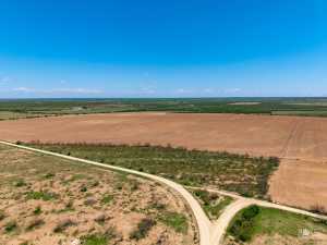 County Rd 2041 (18)