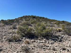 23 Timber Point Rd (17)