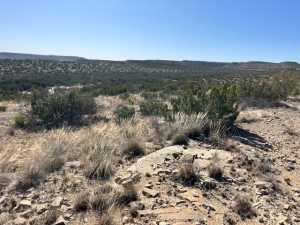 23 Timber Point Rd (18)