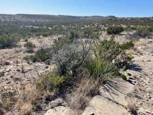 23 Timber Point Rd (19)