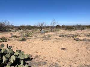 23 Timber Point Rd (2)