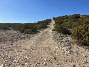 23 Timber Point Rd (20)