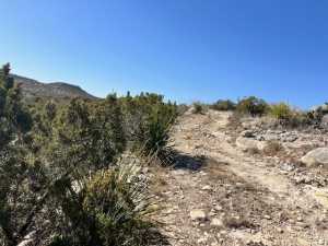 23 Timber Point Rd (21)