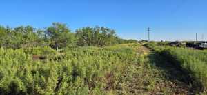 11976 Tate Rd (8)