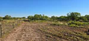 11976 Tate Rd (9)