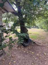 425 E 29th St (4)