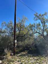 12056 Spring Creek Lane (39)