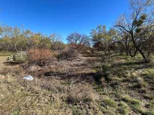 12056 Spring Creek Lane (3)