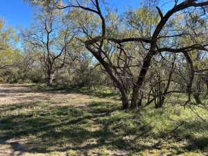 12056 Spring Creek Lane (4)
