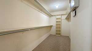 4217 Pinon Ridge Dr (17)