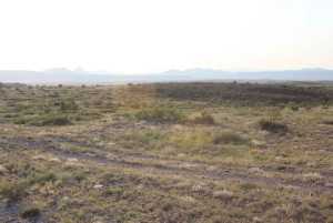 Tract 9 Sierra la Rana (6)