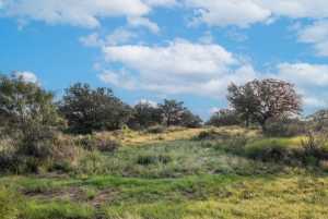 Hwy 87 Other (10)