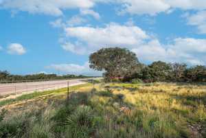 Hwy 87 Other (11)
