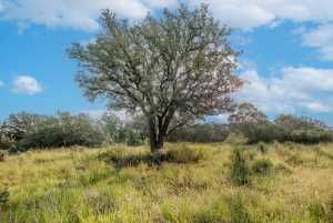Hwy 87 Other (14)