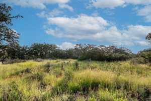Hwy 87 Other (15)