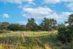 Hwy 87 Other (16)