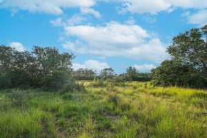 Hwy 87 Other (17)