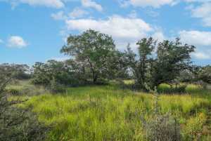 Hwy 87 Other (18)