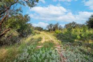Hwy 87 Other (2)