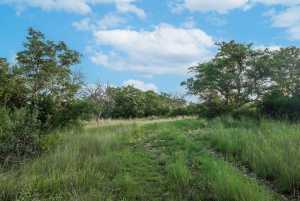 Hwy 87 Other (20)