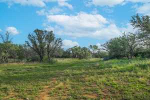Hwy 87 Other (21)