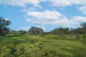 Hwy 87 Other (22)