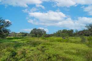 Hwy 87 Other (23)