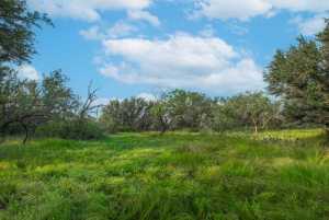 Hwy 87 Other (24)