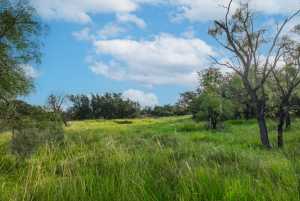 Hwy 87 Other (25)