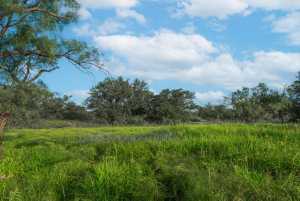 Hwy 87 Other (26)
