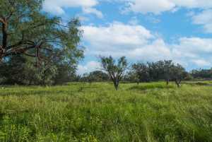 Hwy 87 Other (27)