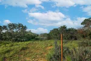 Hwy 87 Other (28)