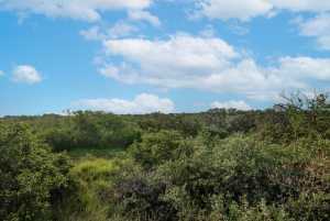 Hwy 87 Other (29)