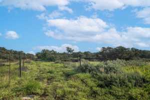 Hwy 87 Other (30)